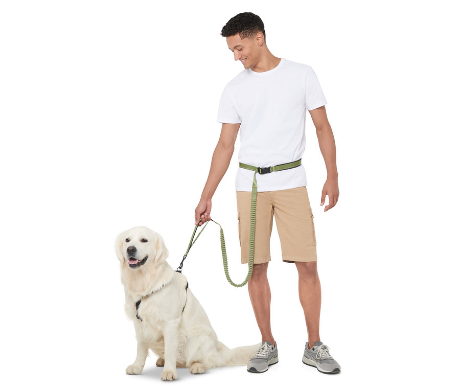 Egy férfi egy rugalmas pórázt tart, miközben egy golden retriever ül.