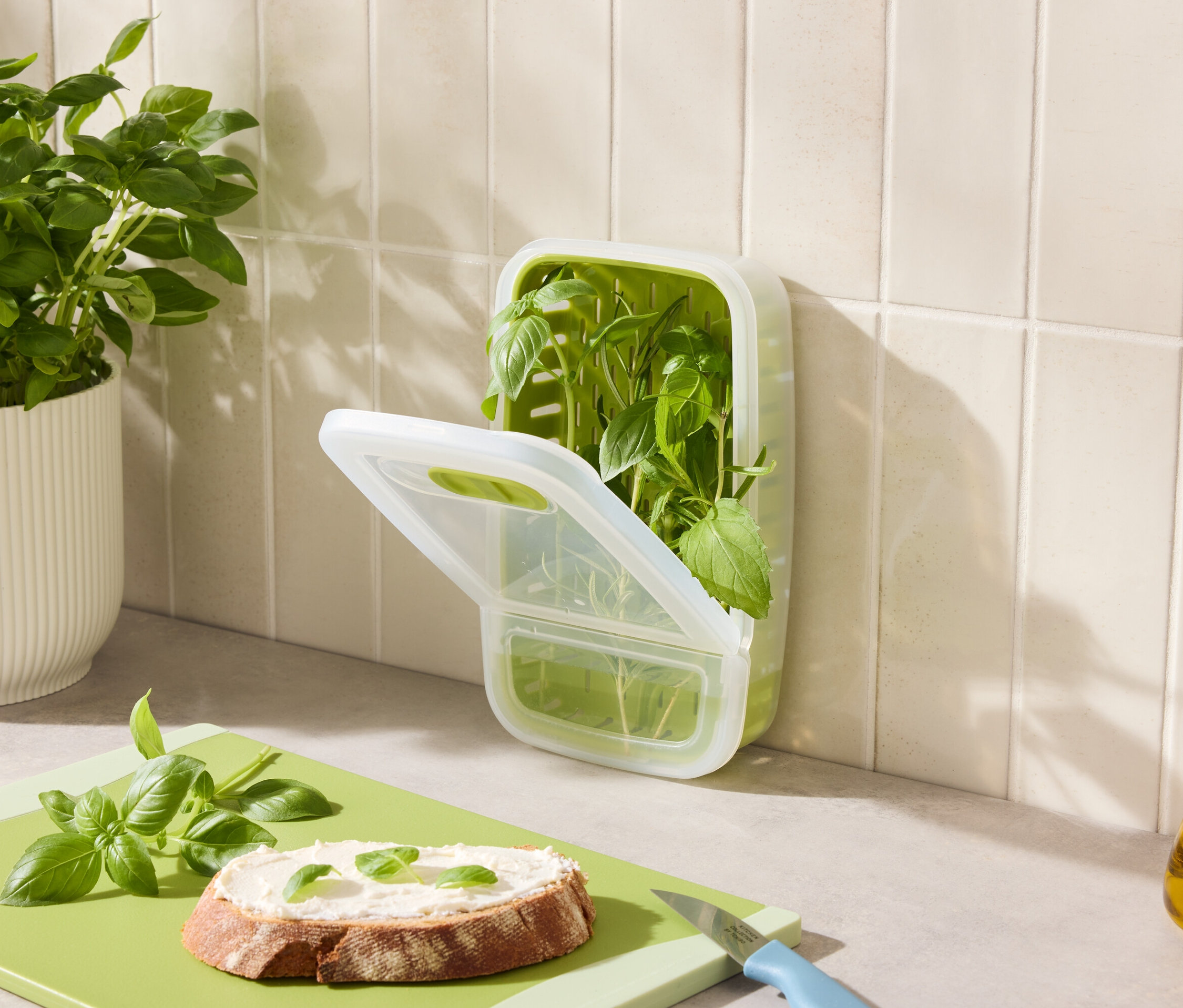 A pulton bazsalikom egy cserépben, egy bazsalikom tartály, bazsalikomos kenyér és olaj található.