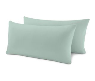 Menta