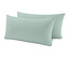Menta