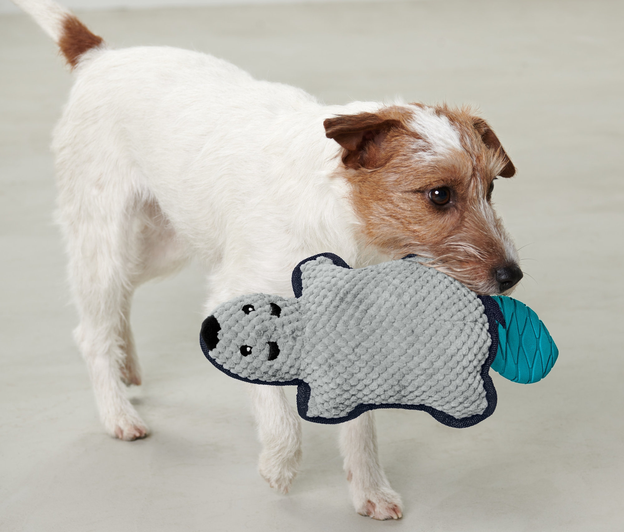 Kutya tartja a szájában a Plüss kutyajáték, hód játékot.