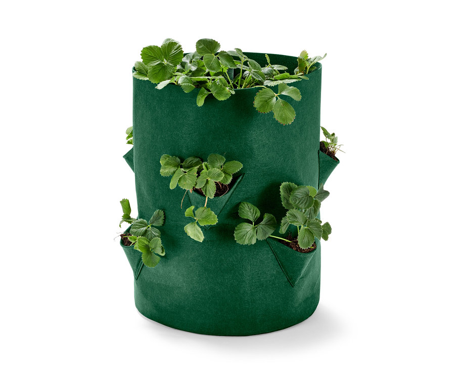 Zöld ültetőzsák epernek, növényekkel.