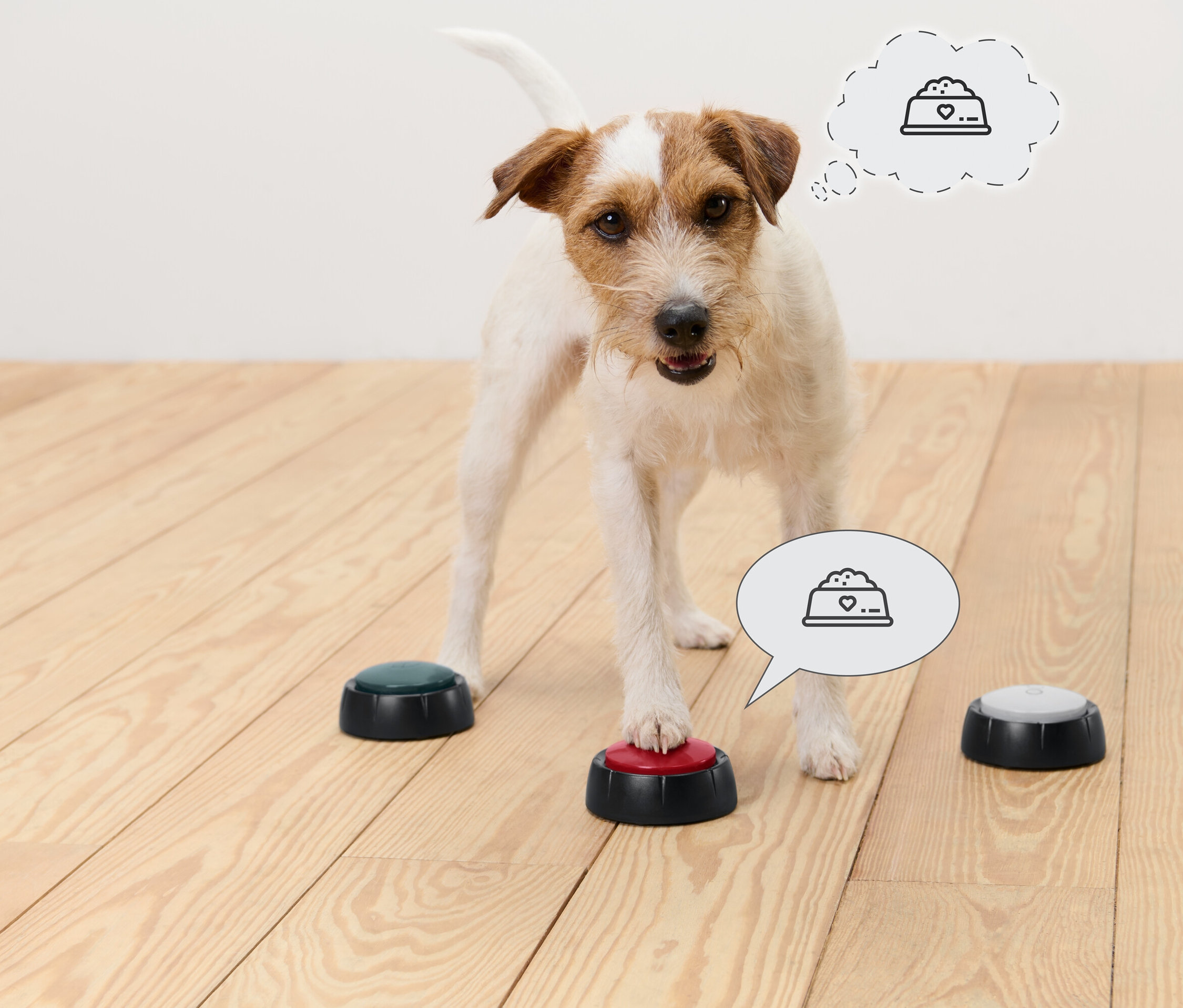 Egy Jack Russell terrier áll a fapadlón, és a mancsával megnyom egy piros gombot. További gombok zöldek és szürkék. A kutya fölött lévő gondolatbuborékokban egy etetőtál ikon látható.