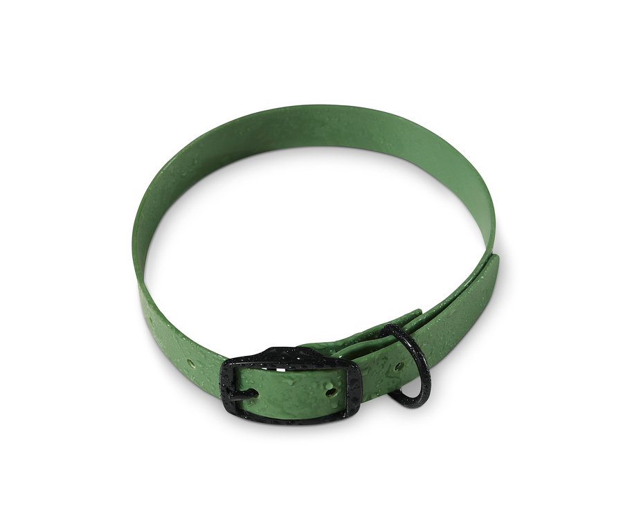 Egy zöld kutyanyakörv fekszik egy fehér háttéren.