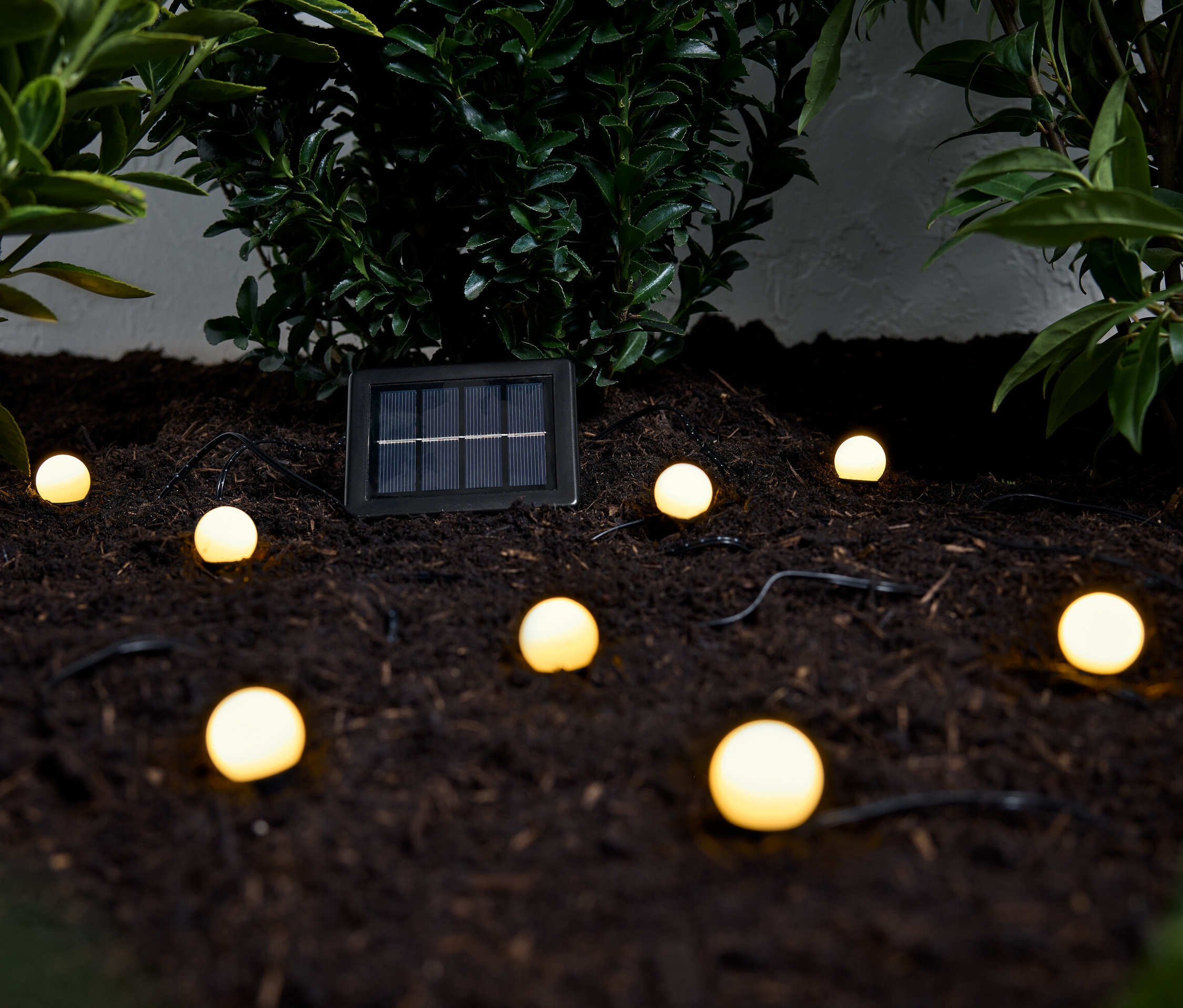 A barna földön, zöld növények között egy napelemes leszúrható lámpafüzér fekszik több kerek lámpával.