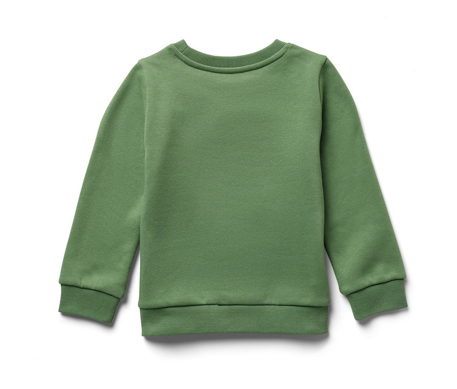 Egy zöld, bárányos kisgyerek szabadidőfelső fekszik egy fehér háttéren.