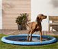 Vízpermetező kerti szőnyeg kutyáknak