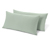 Menta
