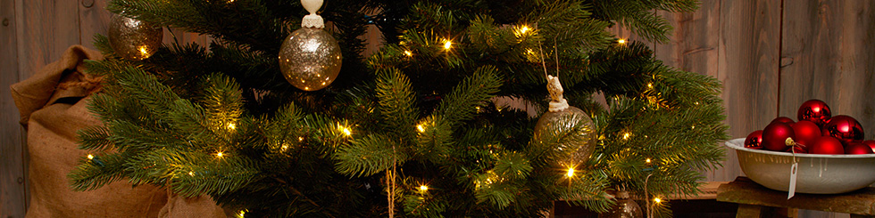 A legjobb tippek az ünnepi hangulatú karácsonyfa díszítéshez - a Tchibo-nál!